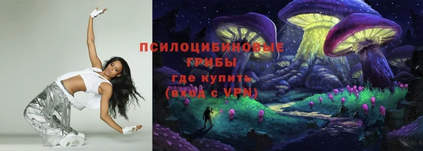спиды Алзамай