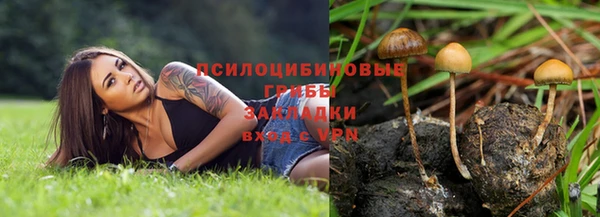 соль курить ск Алексеевка