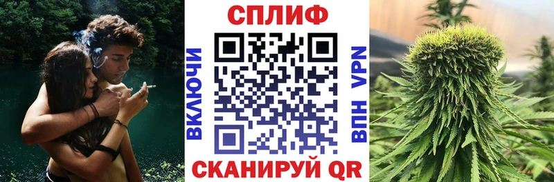 цена   Волгоград  Бошки Шишки SATIVA & INDICA 
